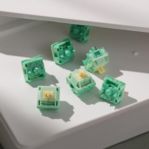 Image of Akko Tactile Keyboard Switches Cilantro Switch 5-Pin for Mechanical Gaming Keyboard Pre-Lubed 36gf (45pcs)