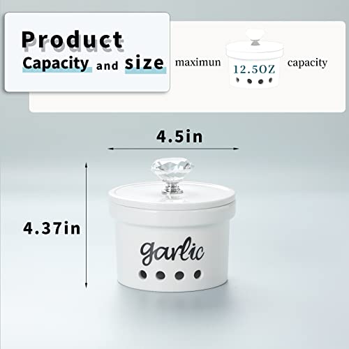 Garlic Keeper With Crystal Lid, 12.5 Oz Ceramic Garlic Saver Container For Countertop, Farmhouse Kitchen Decor (Silver) #TOP2