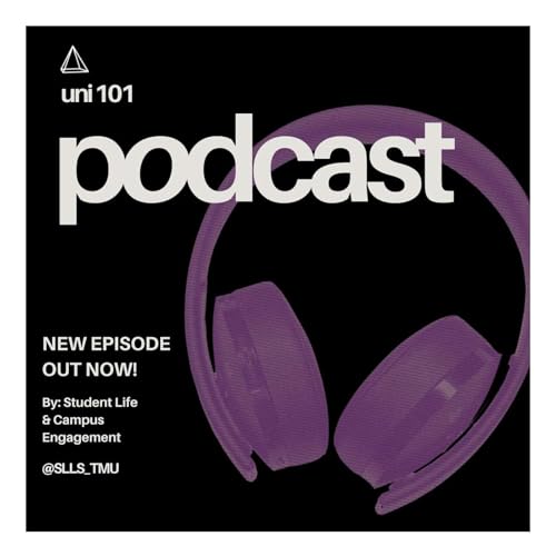 The Art of Networking: For the Beginners & Experts Alike Podcast Por  arte de portada