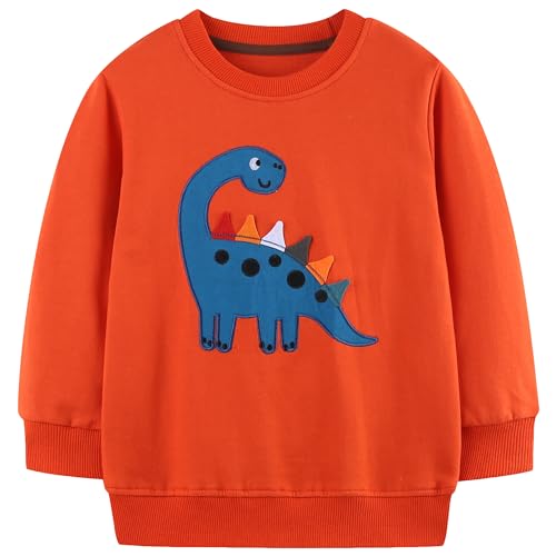 Image of AIWUHE Toddler Cotton Sweatshirt Boys Girls Pullover Long Sleeve Tops 2-6Y | Tops Blouse, Cotton T-Shirt, Fall Winter Clothes