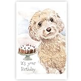 Cockapoo Dog Birthday Card, Cockapoo Dog Greetings Card, Cockapoo Dog.