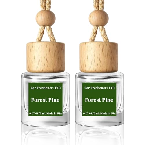 HoogaLife Car Air Freshener Diffuser 2 Pack Hanging Air Freshener Diffuser - Forest Pine Fragrance...