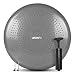 Balance Disc - Stability Wobble Cushion - Lumbar Support For Desk and Office Chair, Lower Back Pain Relief and Support - Kid's Wiggle Seat For Classrooms - Home Gym Workout Equipment - Pump Included