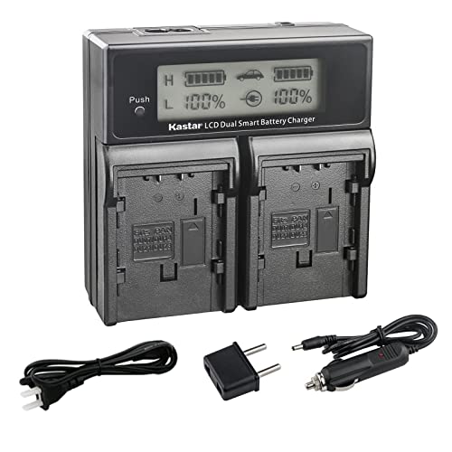 Kastar CGR-D54 Pro CH04 Fast Charger Compatible with Panasonic AG-DVX100AE AG-DVX100AP AG-DVX100B AG-DVX100BE AG-DVX100BP AG-DVX100E AG-DVX102 AG-DVX102A AG-DVX102B AG-HPX170 Camera