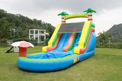 Commercial Inflatable Water Slide for Big Kids: Cocoanut Style
