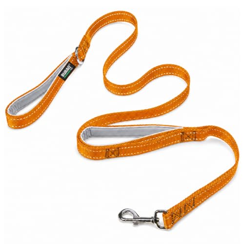 Image of Buraq Pets 6FT Double Handle Dog Leash Reflective Padded Grip