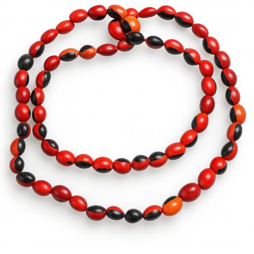 Collar de Peonia, Paeonia Santeria Ifa, Necklace Semillas de Peony Odi Bara Odun