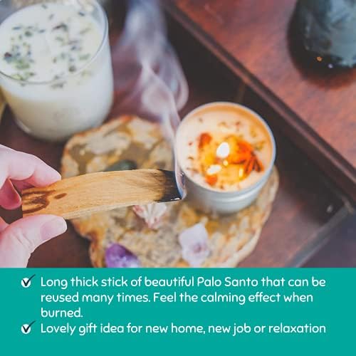 Raw Earth Beginners Sage and Palo Santo Smudging Kit, White Sage, Desert Sage & Palo Santo Smudge Stick Set with British Scallop Shell Smudging Gift Kit Home Incense