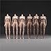 RoofWorld 1/6 Female Suntan Pale Action Figure Dolls 12