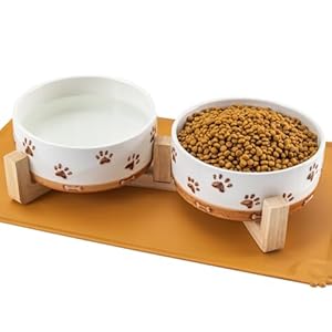 Ceramic Dog Bowls for Small and Medium Dogs, 4 Cups Dog Food and Water Bowl Set with Wooden Stand and Non-Slip Silicone Food Mat, Weighted Embossed Cute Puppy Bowls Feeding Dishes Set of 2