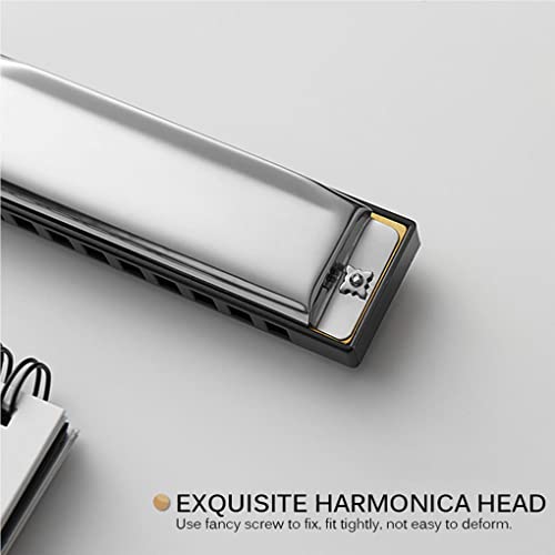 IOIUSKKU Blues Harmonica Folk Music Musical Gear 10 Trous Harmonica Instrument Vintage - Les Beatles, Paul McCartney, John Lennon, RIngo Starr, George Harrison IOIUSKKU Blues Harmonica Folk Music Musical Gear 10 Trous Harmonica Instrument Vintage – Image 5