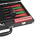 Florida Black Luxury Backgammon Set, Tournament Size, 21 x 13.5 Inches, Green and Red Design with Resin Checkers