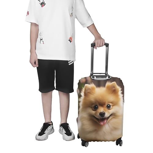 Housse de bagage Poméranien élastique et lavable pour valise L