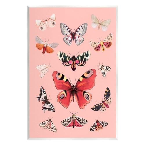 Stupell Industries Various Moths on Pink Wall Plaque Art by Diane Neukirch