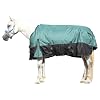 1200D Ripstop Waterproof Breathable Horse Blanket (200g Fill), Medium Weight Warm Winter Turnout, Thermal Protection for Cold & Snow Greenblack 72″