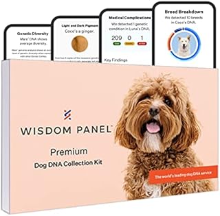 Wisdom Panel Premium, New and Improved Dog DNA Test for Comprehensive Health, Traits and Ancestry