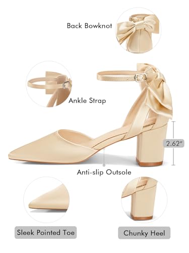 Image of Coutgo Women's Chunky Heels Ankle Strap Pointed Toe Pumps | Dress Shoes