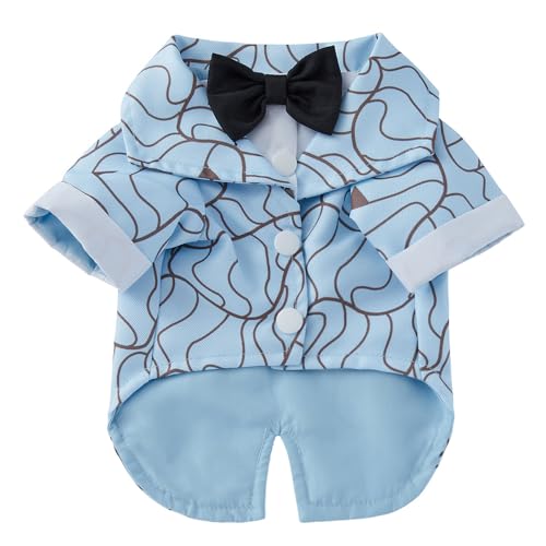 UGYMSIA ybg̃EFfBOhXApamApX[cAybgpԃ^LV[hApAʐ^BeA^ƒ^AhXAAMtg (001#,M)