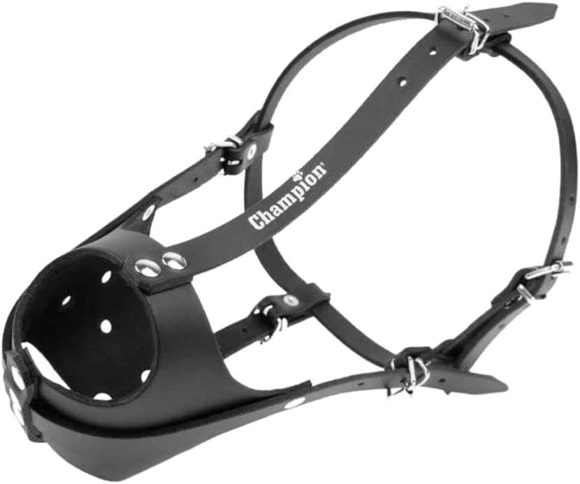 Enclosed Genuine Leather Dog Muzzle for American Staffordshire Terrier (Amstaff) - Heavy Duty Guard for Biting & Chewing - Secure Safety Mask for Amstaffs, Pitbulls & Large Powerful Breeds (A2)