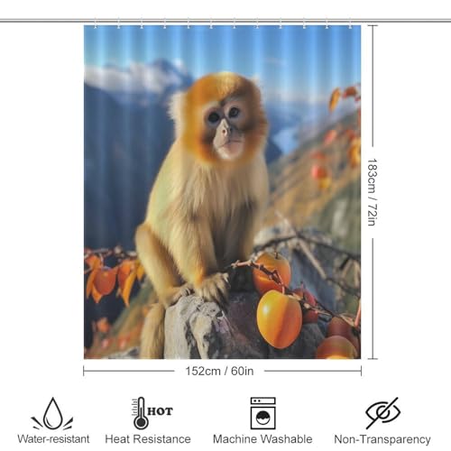 Rideau de douche singe en polyester 152x183 cm avec 12 crochets - 4