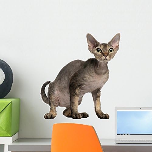 Wallmonkeys Cat Sitting in Front of White Background Wall Decal Peel and Stick Graphic WM238550 (18 in W x…