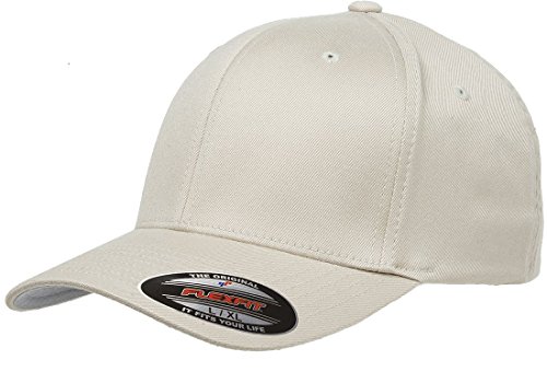 Flexfit mens Flexfit Men's Athletic Baseball Fitted Cap