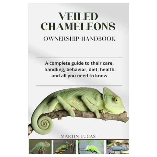 VEILED CHAMELEONS OWNERSHIP HANDBOOK: A complete guide to their care, handling, behavior, diet, health and all you need to know