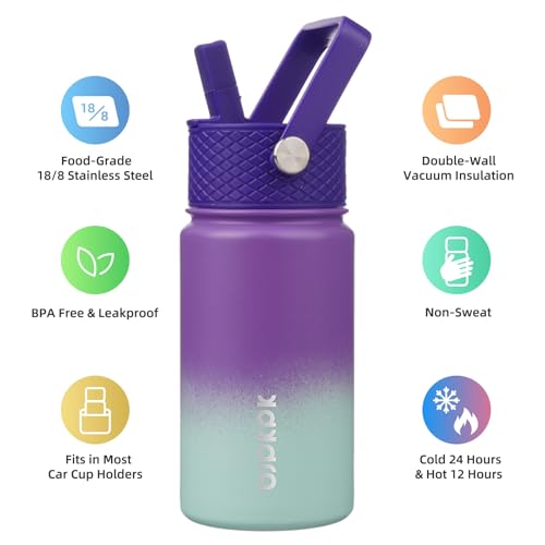 Image of BJPKPK Insulated Water Bottle, 15oz Stainless Steel with Straw Lid