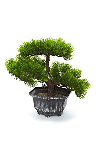 Heitmann Deco Bonsai - künstliche Pflanze - Bonsai - Blume - Grüne Pflanze mit Topf - Kunstblume - Dekoration
