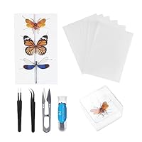 Herstellung von Insektenproben Werkzeug Kit, Insektenstiften, Insektenstiften Brett, Flügel Presspapier, Pinzette, Schere, Insekt Vitrine, Insektensammlung für Bug Hobbyist/Biologie Projekte