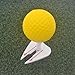 Ywmsfl Golfs Nails Tees Adjustable Height Golfs Tees Holder Reusable Training Tees for Improved Shots