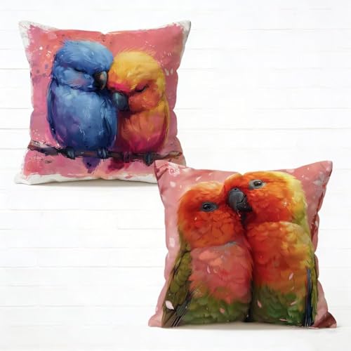 �N�b�V�����J�o�[ 55x55 cm 2���Z�b�g �� ���z�c�J�o�[ 55 x 55 �\�t�@�[ �N�b�V���� ���� �l�C ���O �N�b�V���� �� �������J�o�[ �l�p HD���ʈ�� ���_�� �B���t�@�X�i�[�t���C�t�ăR���N�V���� �K�p�Ώ� �ƒ� �I�t�B�X �֎q �ԓ� 