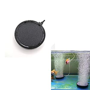 PhoenixDN Disco Air Stone, Diffusore Air Stone a Disco, Pietra Porosa Pompe, Air Bubble Stone Ultra Silenzioso, Idroponico, Aeratore, Tartaruga, Pesce, Decorazione, Pompa ad Aria, Diffusore Airstones