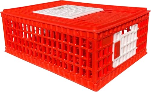 RentACoop Poultry