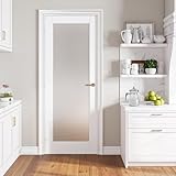 SMARTSTANDARD 30' x 80' French Interior Door, Tempered Frosted Glass Slab Door for Pantry, French, Pocket, Solid Core Interior Door Without Hardware Kit, White