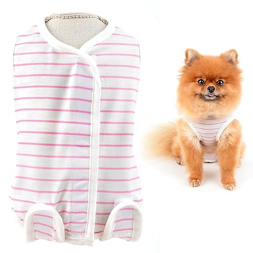 SMALLLEE_LUCKY_STORE pp㕞 p㕞 L   {[_[ pi pEFA pJo[ Ȃ GUxXJ[̑ ی앞 Y p IX X D  ی 畆a ʋC ėp ^,sN,M