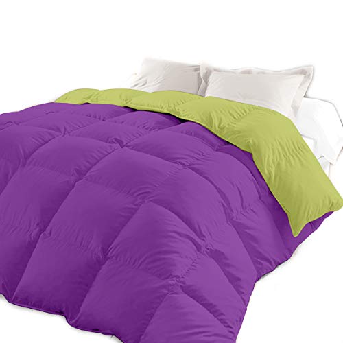Tolrá Edredón/Relleno Nórdico Bicolor. Gran Volumen con Menos Peso, Tacto Muy Suave, Reversible, 2 Decoraciones en una (Morado-Verde, Cama de 180) Cover