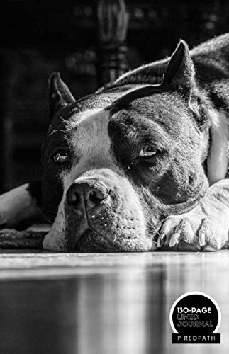  AMERICAN BULLY: A LINED NOTEBOOK & JOURNAL: An Awesome American Bully Notebook With Lined Interior