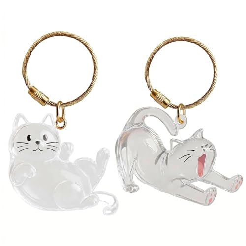 Botella de almacenamiento de pelo de gato para decorar tu mochila de diario