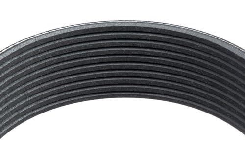 Ceinture serpentine Goodyear 1100852 évitez la rupture mécanique avec ses 10 baleines