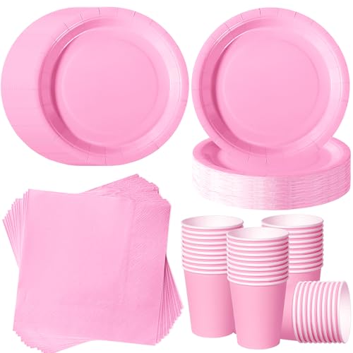 ZblPyro Anniversaire Vaisselle de fête 120 Pièces Rose Clair Set Jetable pour 40 Invités - Assiettes 7