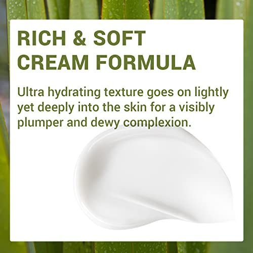 Urban Eco Harakeke Root Cream