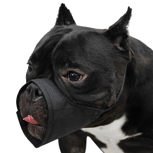 Best Dog Muzzles for ShortSnouted Breeds Counter Current Festival
