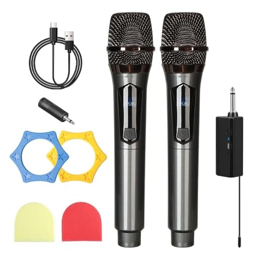 Microphone Sans Fil,2 Pièces Double Portable Micros Dynamiques Avec Récepteur Rechargeable,Microphones A Main Sans Fil,Micro Dynamique A Main Double Pour,Fête,Réunion,Karaoké