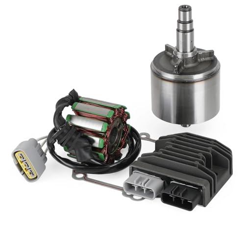 Stator et régulateur WOODEY pour stabiliser la charge de votre R1