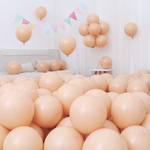 Sekat D o[ x[W 10C` 100 S Ɍ  Be[WD ebNXo[  a  X܊JXj p[eB[ ^  o[A[g ~bNX