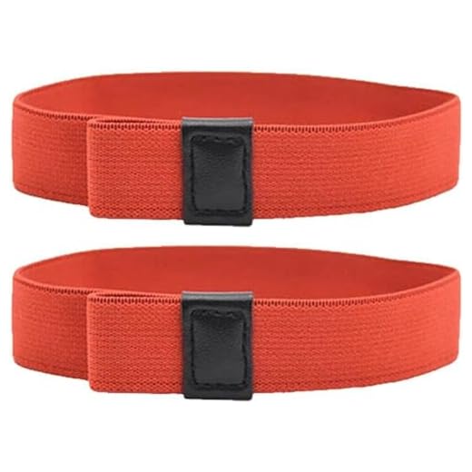 Wudaizhi Banda Elástica 2pcs Doble Capa Bento Caja De Fijación Correa De Unión Estirable para Picnic Al Aire Libre