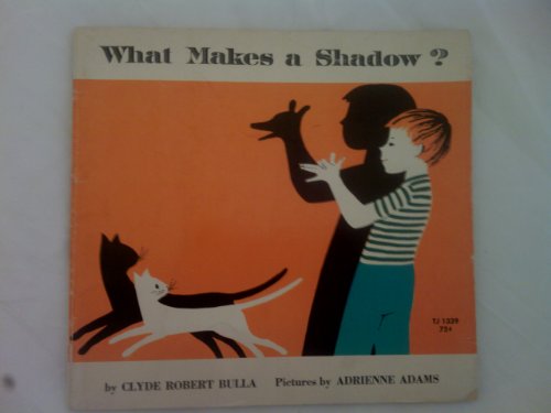 what makes a shadow? B002144ZCC Book Cover