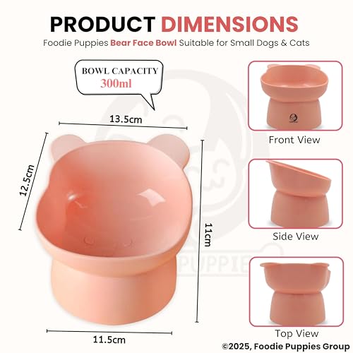 Image of Foodie Puppies Cat Tilted Food and Water Feeder (Bear Face Bowl, Pack of 2) | Durable, Anti Vomiting, Healthy Cat Bowl for Persian Cat Prevent Tipping Over | Elevated Feeder for Cats and Small Dogs