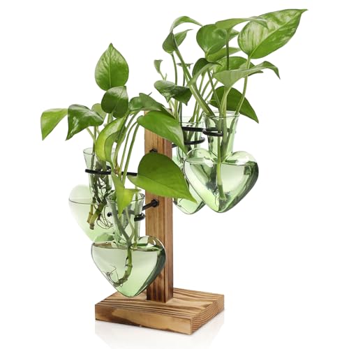 CYZglass Plant Terrarium Propagation Stations with Wooden Stand, Glass Vase